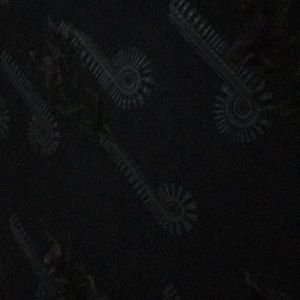 Meet your Posher, Tarane